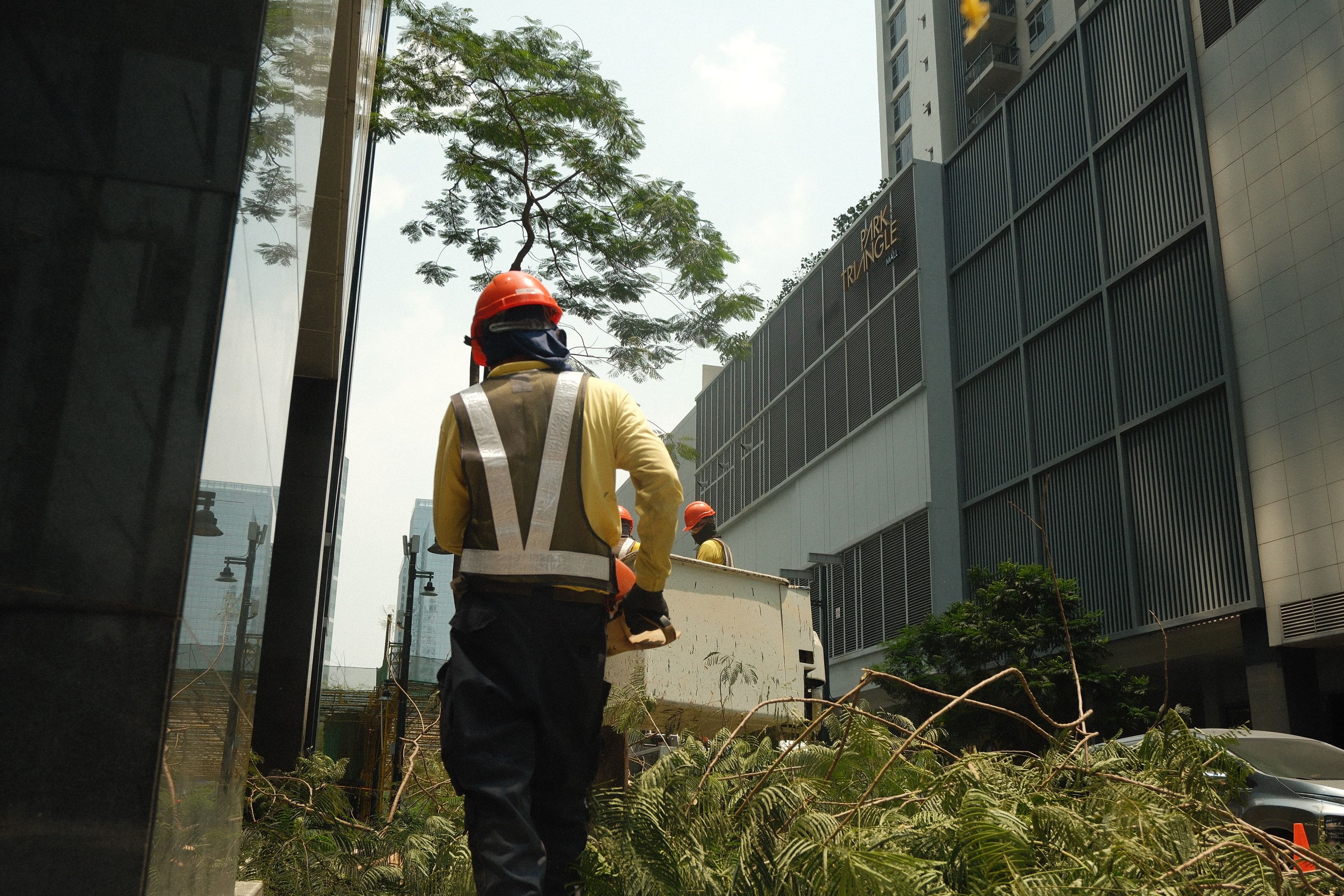 Commercial Tree Service
